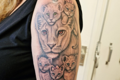 20250910_144746-kopie