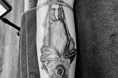 20250325_121827-kopie