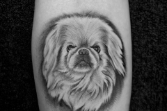 20251118_172320-1-kopie-scaled