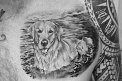 20251210_143211-kopie-scaled